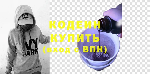 шишки Богородицк