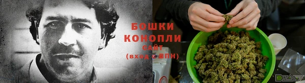 шишки Богородицк