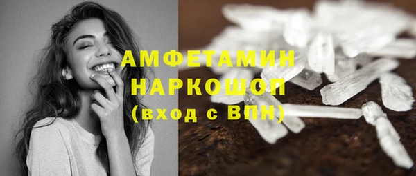 шишки Богородицк