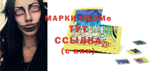 шишки Богородицк