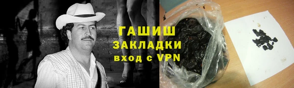 шишки Богородицк