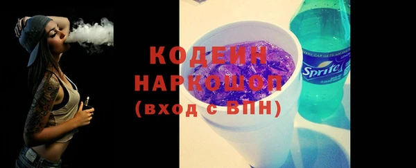 шишки Богородицк