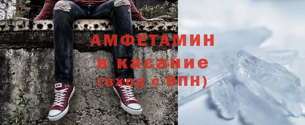 шишки Богородицк