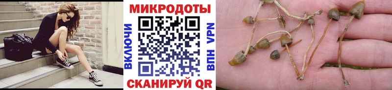 закладки  Махачкала  Галлюциногенные грибы прущие грибы 