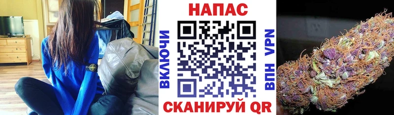 Бошки марихуана гибрид  где найти наркотики  Махачкала 